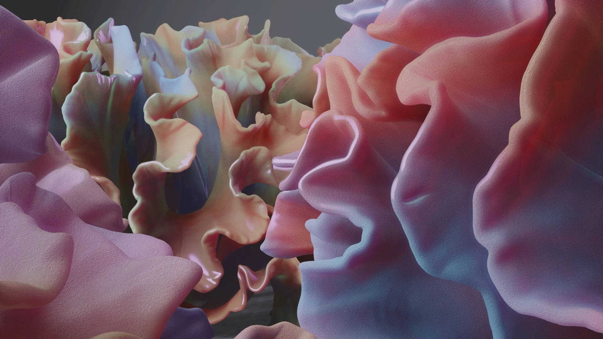 Modelled coral background