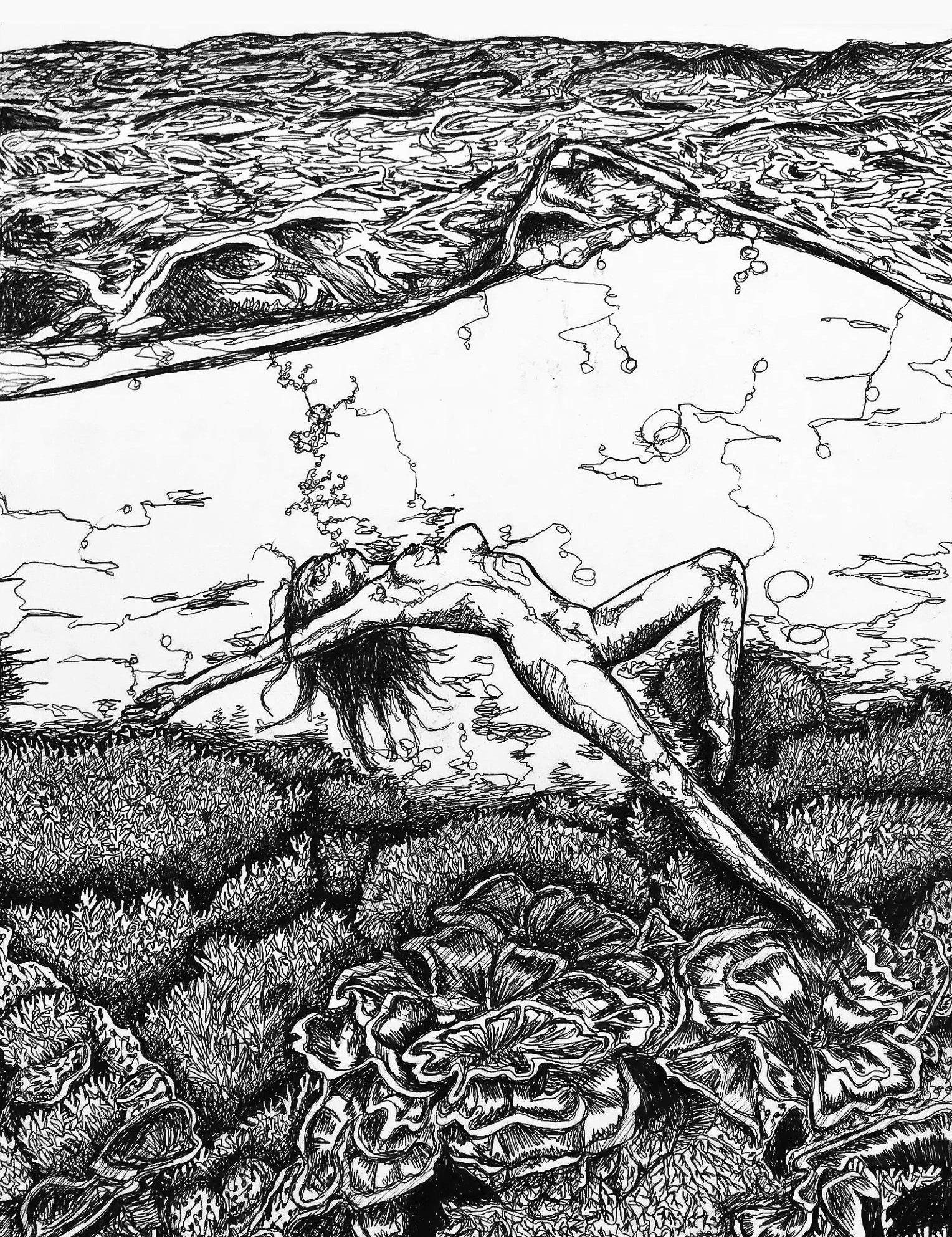 Continuous line drawing