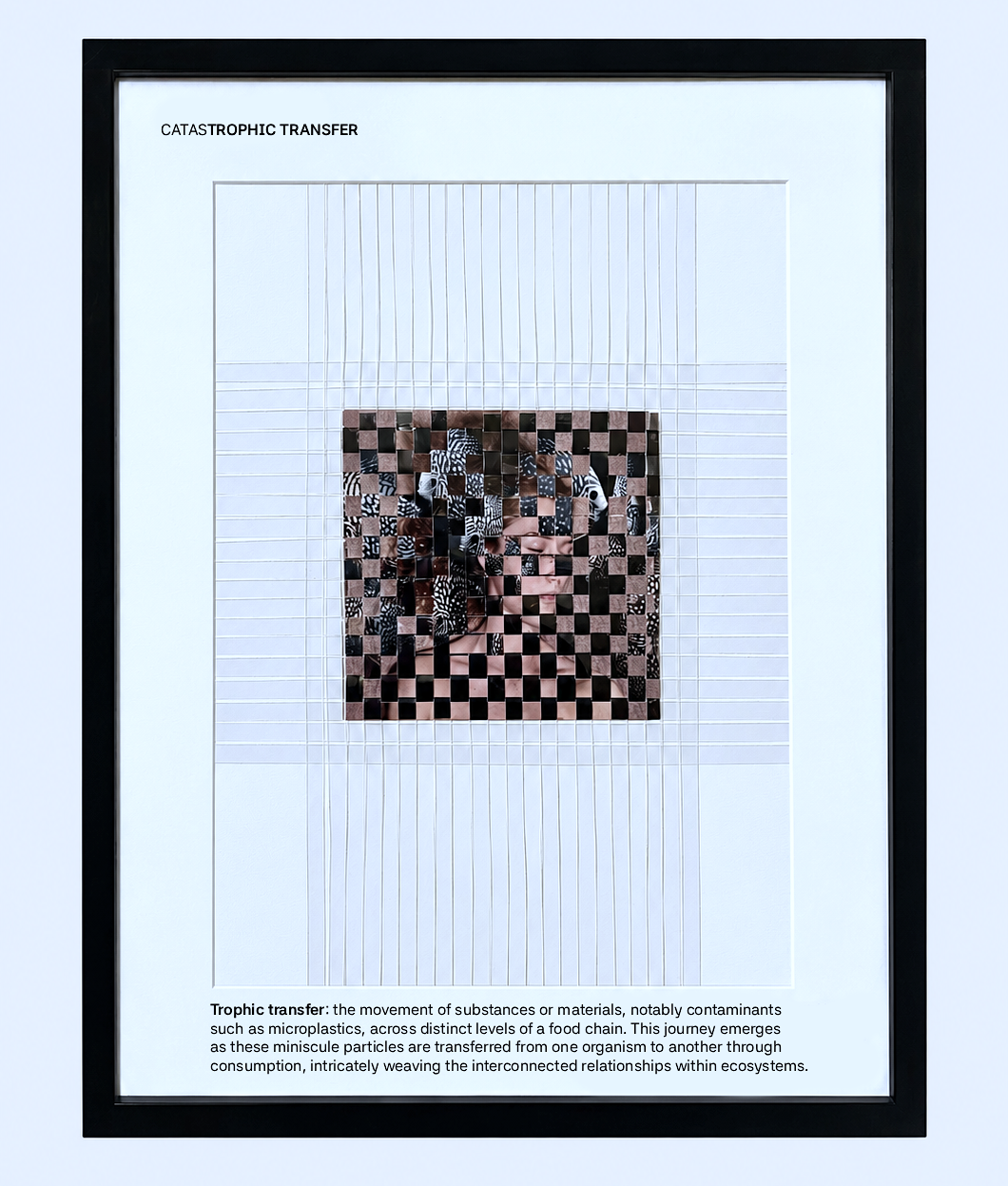 Catastrophic Transfer — framed woven photographic work