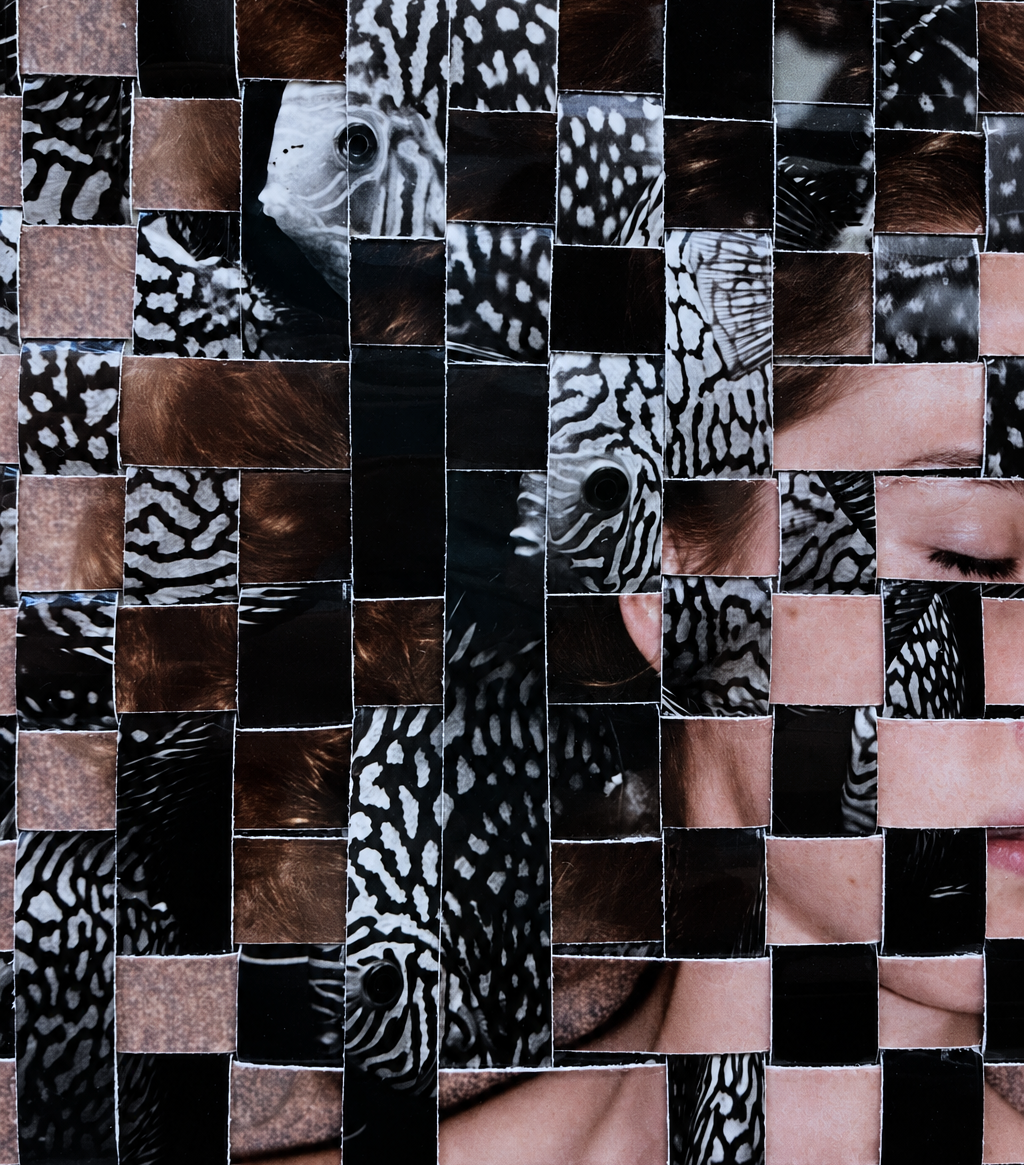 Catastrophic Transfer — woven detail