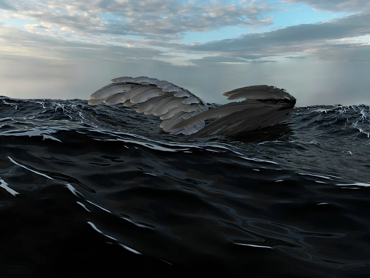 Ocean imagery from the supplied artwork collection